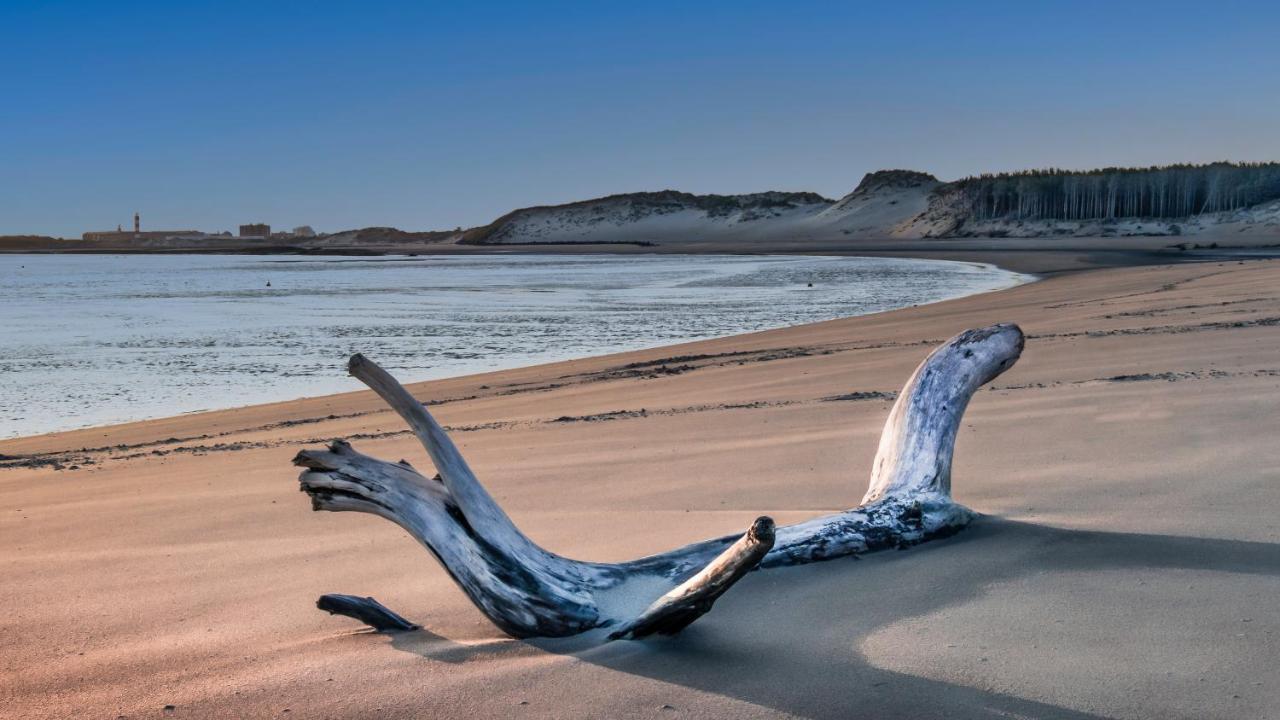Studio "Les Pieds Dans L'Eau" - 50M Front De Mer Berck Экстерьер фото